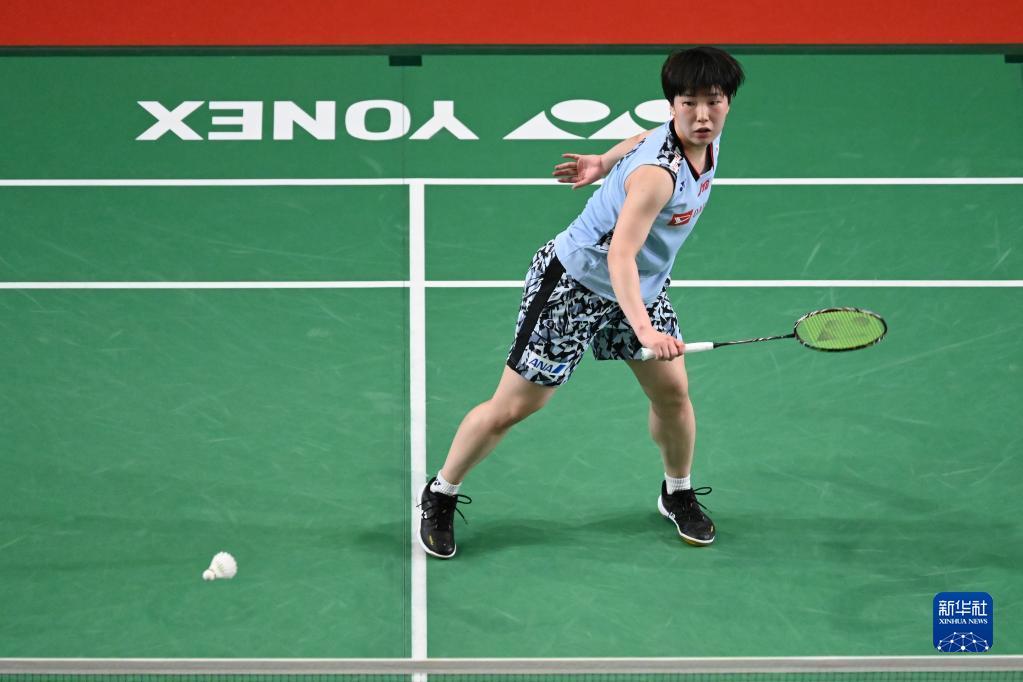 的篮球故事 的篮球故事