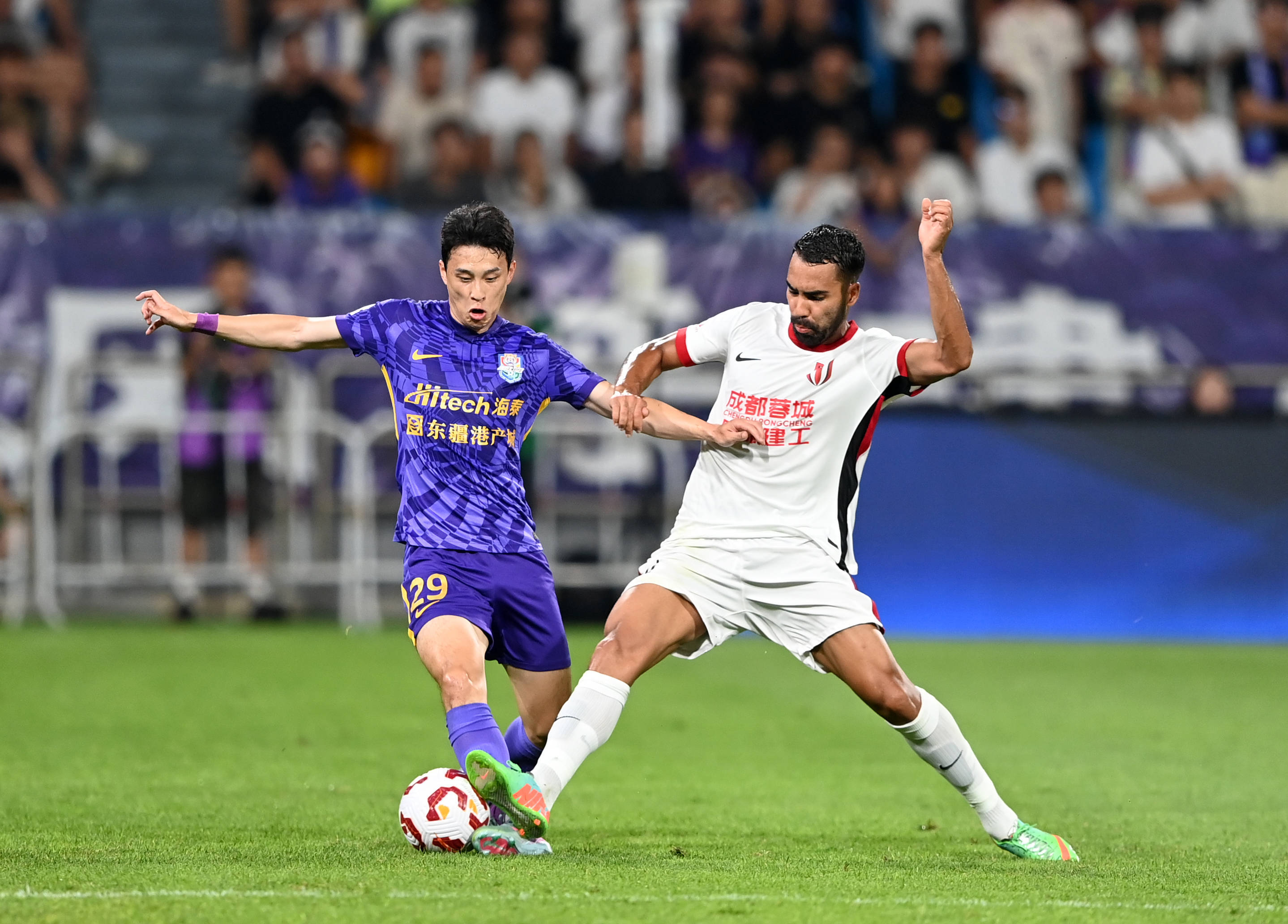 和灰熊的困 和灰熊的困