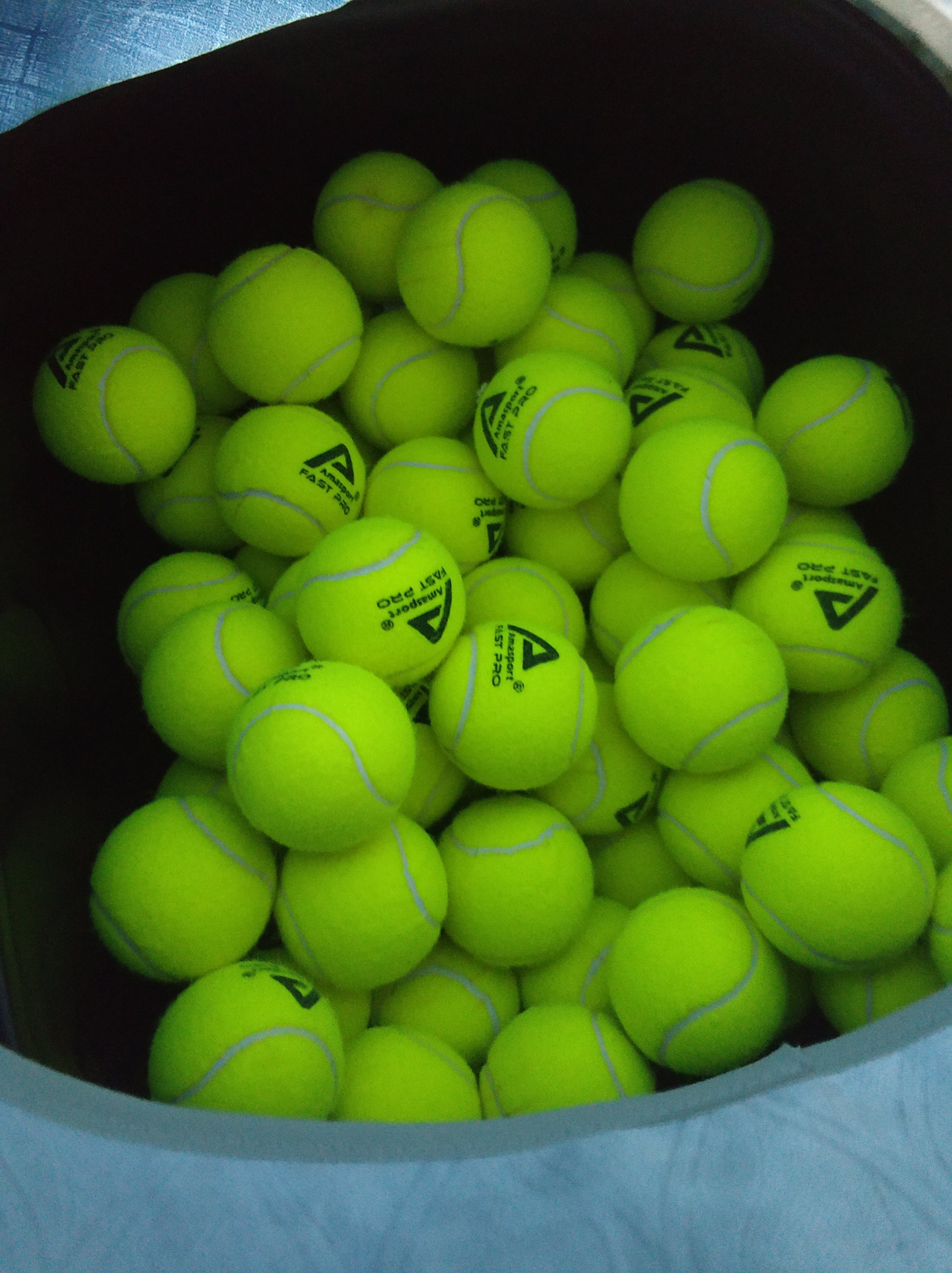 是首要风险 是首要风险